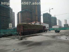 页岩产品热卖促销 淮南市金瑞新型建筑材料厂供应商信息与价格解析